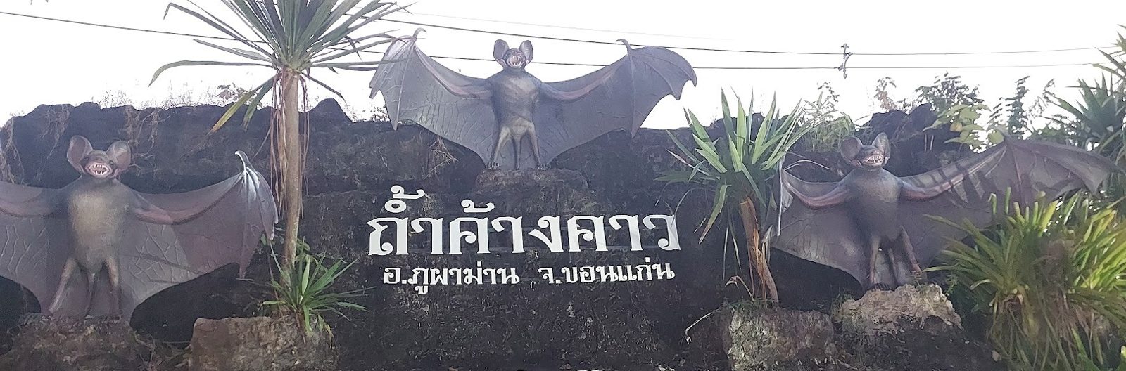 ถ้ำค้างคาว — ที่เที่ยว ต.ภูผาม่าน
